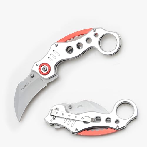 Snake Eye Tactical Heavy Duty Folding Pocket Knife Outdoors Hunting Camping Fishing (Silver)