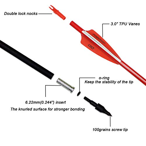 Pointdo 30inch Carbon Arrow Fluorescence Color Targeting and Hunting Practice Arrows for Recurve and Compound Bow with Removable Tips (Fluorescein Red) - Thumbnail 2