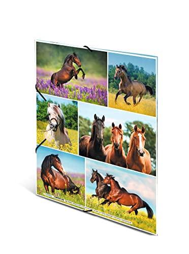 HERMA 19342 Portfolio Folder DIN A4 Animal Worlds Horse Meadow, Sturdy Cardboard - Image 2