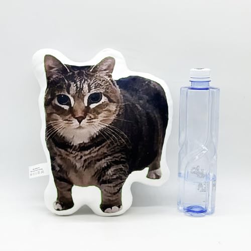 Coussin de chat en peluche douce oreiller décoratif de chambre