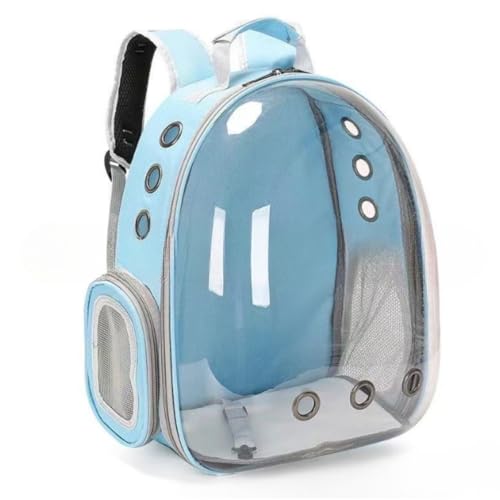 MsiDtsoy ybgL[obO LL[ Lp FDJvZ^ bNTbN sybg  o ʋC e ϋv S ܂肽 (XJCu[)