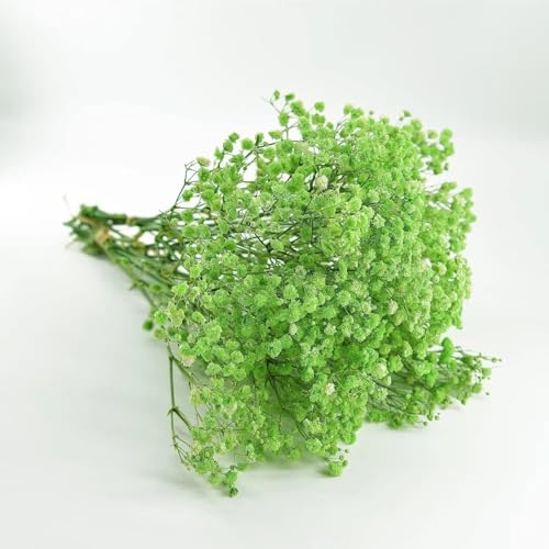Image of Art Street Green Babys Breath Flowers Artificial Gypsophila Bouquets Flowers Mothers Day Gifting, Faux Flowers for Vases Decoration Items for Living Room (Pack of 1)