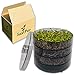 SaatPur® Keimsprossenbox Set 3 mit DREI Etagen als Sprossen Keimgerät: Sprossen Anzucht sowie Microgreens Anzuchtschalen. Keimbox, Keimschale, Qualität, Sprossenbox, Sprossenhaus, Keimgerät Anzucht Set günstig Kaufen-SaatPur® Keimsprossenbox Set 3 mit DREI Etagen als Sprossen Keimgerät: Sprossen Anzucht sowie Microgreens Anzuchtschalen. Keimbox, Keimschale, Qualität, Sprossenbox, Sprossenhaus, Keimgerät