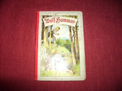 Wolf Hammer der Waldläufer. Eine Erzählung für die Jugend und das Volk. Illustriert von Rob. Herm. Sterl.
