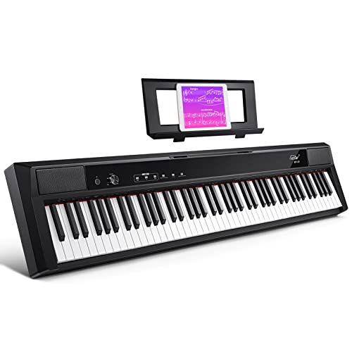 Best Portable Digital Piano Gear Taker