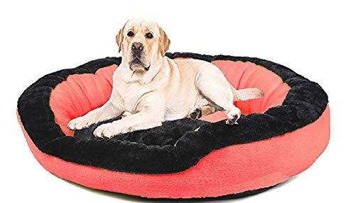 Ultra Super Soft Red Color Fleece Fabric Polyester Filled Fiber Dog/Cat Beds (Export Quality) - XL (B07RPYFWXJ) Amazon Price History, Amazon Price Tracker