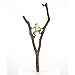Top Collection 4398 Miniature Fairy Garden Frog Climbing Branch & Planter Stake Decor, Small