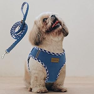 Aiminto Premium Denim Dog Harness and Leash Set, Step in, Breathable Mesh, Lightweight, Reflective Vest Harness – for Small Dogs (Baby Blue, XS)
