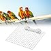 Baoblaze Bird Perch Stand Cage Accessories Rectangle Bird Perch Platform Stand Platform for Cockatiels Canary Parrot Budgie Parakeet, S