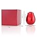 Jewelry Storage Holder, Fashion Wedding Rose Ring Box Holder Necklace Jewelry Display Storage Case Gift Red