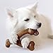 Benebone Wishbone Durable Dog Chew Toy for Aggressive Chewers, Made in USA, Medium, Real Bacon Flavor