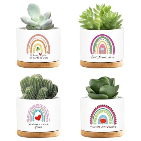 emzrivo 4 Pcs Teacher Appreciation Gifts Funny Ceramic Succulent Plant Pot Teacher Planter Pot Thank You Gifts for Coworker Teacher Valentines Birthday Gift, Plants Not Included Cover