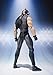 Bandai Tamashii Nations S.H.Figuarts Tiger the Dark 