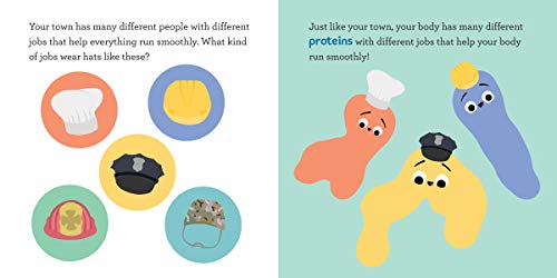 Baby Biochemist: Proteins (Baby University)