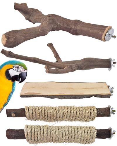 bird perches