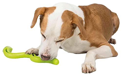 Image of Trixie Snack Crocodile TPR Treat Dispensing Dog Toy