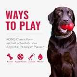 KONG Aqua Floating Fetch Toy - Hundespielzeug Für Wasser, Spiel und Training - Mit Schaumstoff-Innenseite und Wurfseil - Für Große Hunde - Orange
