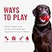 KONG Aqua Floating Fetch Toy - Hundespielzeug Für Wasser, Spiel und Training - Mit Schaumstoff-Innenseite und Wurfseil - Für Große Hunde - Orange