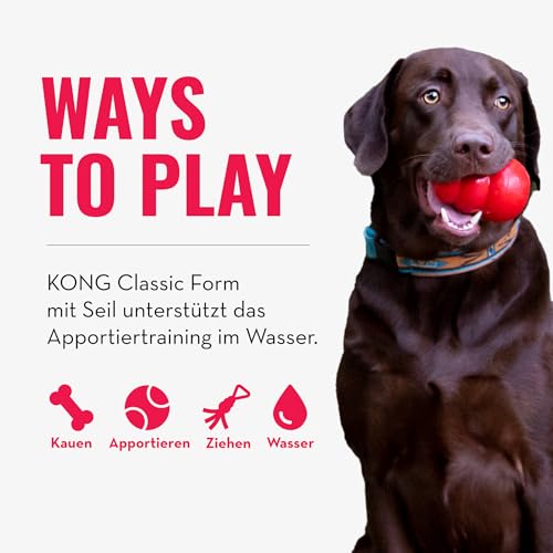 KONG Aqua Floating Fetch Toy - Hundespielzeug Für Wasser, Spiel und Training - Mit Schaumstoff-Innenseite und Wurfseil - Für Große Hunde - Orange