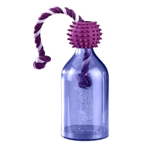 PetSafe Busy Buddy Tug a Jug Hundespielzeug, befüllbarer Snackball, Zahnpflege für Hunde