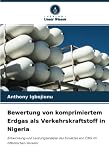 Bewertung von komprimiertem Erdgas als Verkehrskraftstoff in Nigeria: Entwicklung und Leistungsanalyse des Einsatzes von CNG im öffentlichen Verkehr