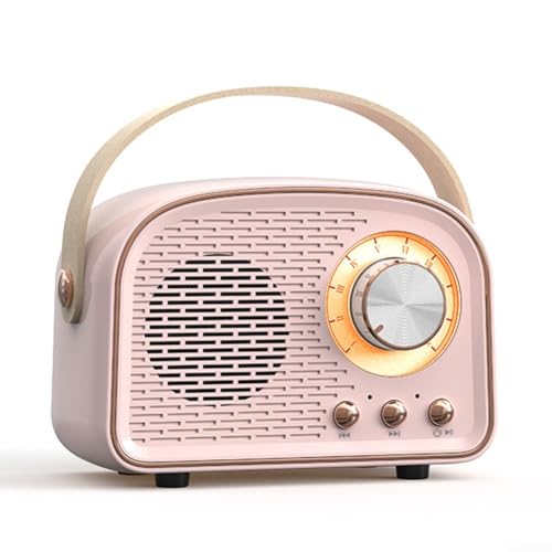 Hasaller Retro Radio Mini Wireless Speaker Portable Speaker with FM Radio Small Bluetooth Speaker Retro Radio Speaker Rechargeable Loud Volume Speaker(Pink)