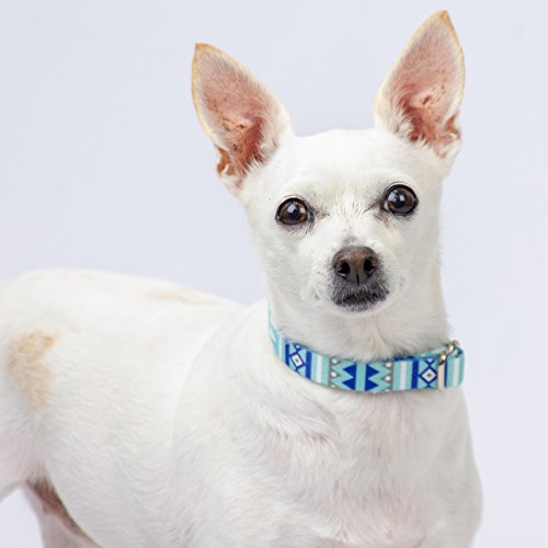 Country Brook Petz - Snowy Pines Martingale Dog Collar - Christmas Collection With 19 Festive Designs (1 Inch, Extra Large) #TOP5