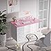 Pamray 32 Inch Computer Desk with 4 Drawers Small Office Desk for Home Bedroom Study Writing Simple Modern Computer Table Pink