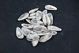 sal a granel en madrid Elija los gramos que desee por paquete 100g, 250g, 500g, 1000g y sus multiplos