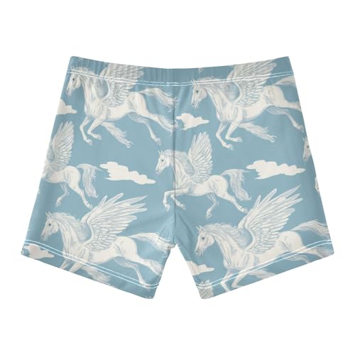 White Horse with Wings Flying Cute Colored Cats Boys Swim Trunks Swimsuits for Toddler Boy Swim Shorts Trunks 3-10T2