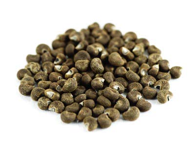 Dragonspice Klatschmohnblüten – Ganz, 100 G, Für Tee, Dekoration Oder Natürliches Färben