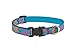LupinePet Originals 3/4" Wet Paint 13-22" Adjustable Collar for Medium and Larger Dogs