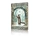 GJXFTPTTBD Raccoons Metal Sign Wall Art Decor Once Upon A Time There Was A Girl Who Really Loved Raccoons Tin Sign Metal Wall Decor for Garden Bars Restaurants Cafes 12 * 8in