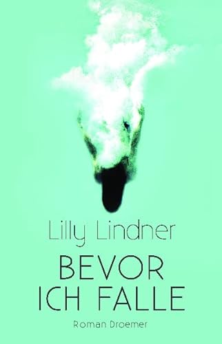 Bevor ich falle: Roman