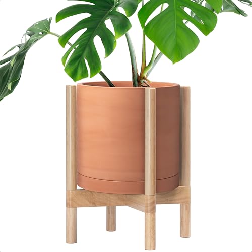 D'vine Dev Terracotta Planter with Natural Stand -...