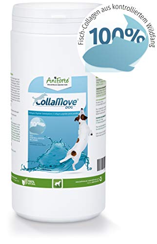 AniForte CollaMove Collagen Joint Powder for chiens 450g - Poudre de pêche de haute qualité, poisson sauvage pêché contrôlé, peptides de collagène pour les articulations, agilité et joie de mouvement