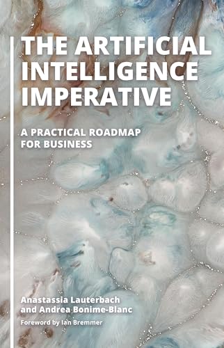 The Artificial Intelligence Imperative: A Practical Roadmap for Business view 2
