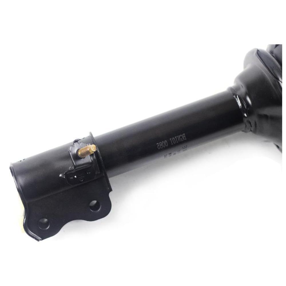 Amazon.com: REIvs 1 Piece Rear Left Driver Side Strut & Spring  