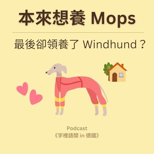 本來想養 Mops，最後卻領養了 Windhund？🐶