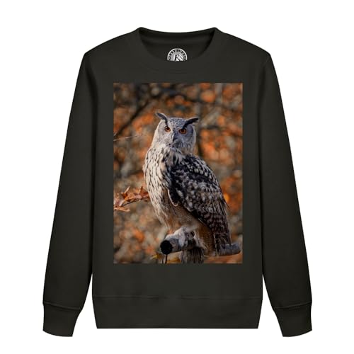 Sweatshirt enfant hibou sur branche automne résistant pour l'école