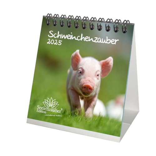 Pig Magic Calendar for 2025 Format 10 cm x 10 cm Pigs Seelenzauber