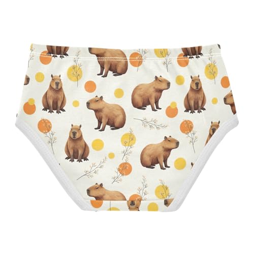 Toddlers Underwear Floral 2t Cotton Panties for Girl Durable Kids Undies Briefs Cute Brown Capybaras Animal2
