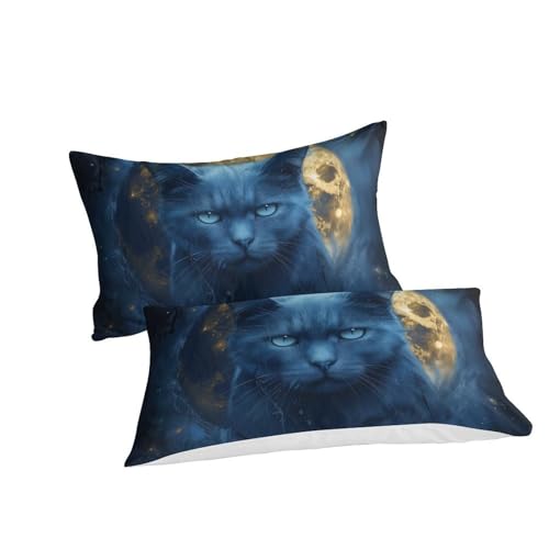 Ensemble de literie chat 3D 200x200 cm avec housse de couette en microfibre