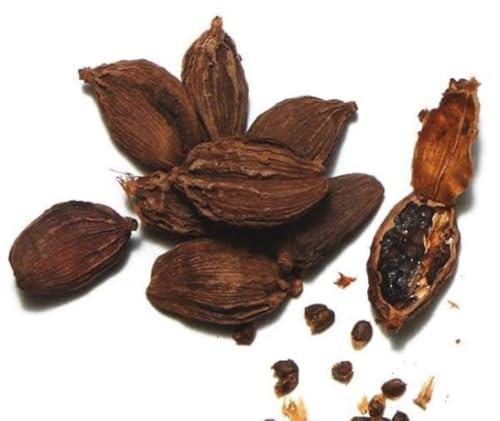Image of Nuturge Big Cardamom 100 gI Badi Elaichi | Black CardamomINo I Freshly Packed