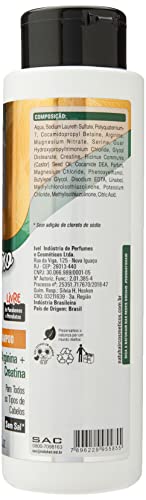 Shampoo Natuhair Óleo de Ricíno 500Ml, Médio