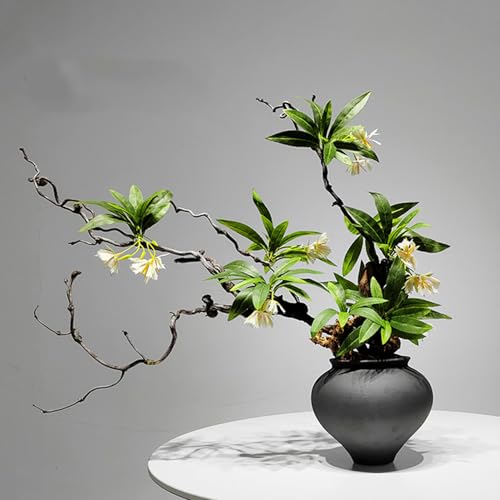 HGJH V tFCNt[ J[8   t[AWg  ԕrt lHϗtA tFCNO[ Iȑ AȎ CeA DIY Be p 뉀 Lb` ItBX F  ԃAW