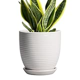EPFamily Ceramic Pots for Plants - 6 Inch Plant Pot with Drainage Hole and Saucer, Round Planters for Indoor Outdoor, Flower Pots, Modern Planter, Home Office Room Decor, Gifts for Plant Lovers, White