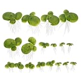 COLLBATH 36個入りPVC製人工浮き草 水槽用水生装飾品 魚タンクの自然な景観演出用ミニチュアウキクサ ペット水槽の陰影提供およびタンク飾り