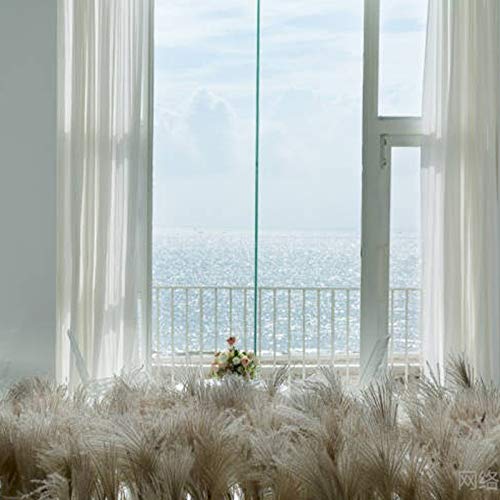 Natural Dried Flowers Bundles - Natural Dried Pampas Grass Brown Bouquet Boho Decoration for Home Decoration, Photo Props - Dried Bunny Tails Pampas for Flower Arrangements Wedding Home Decor (30Pcs)
