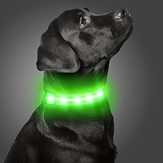 Dynmeow Light up Dog Collar, Waterproof LED Flashing Airtag Pet Collar Lights for Puppy Small Dogs, USB Rechargeable Collars Glowing in the Dark, Black